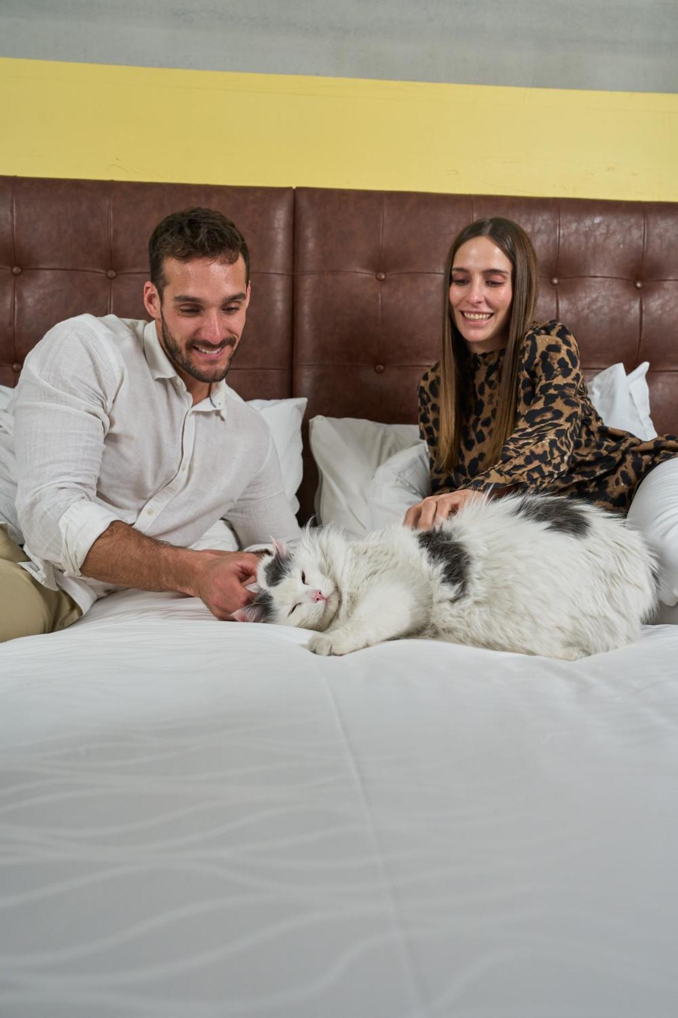 Pullman Santiago El Bosque Hotel Kültér fotó A cat with its owners